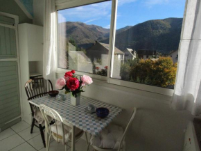 Appartement T3 50m² pour 4 pers. avec Wifi et animaux admis à Luchon - FR-1-313-205